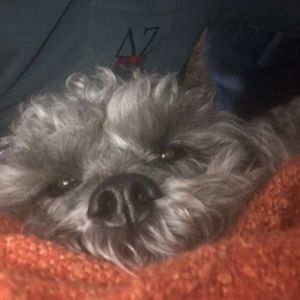 Meet your Posher, Diana